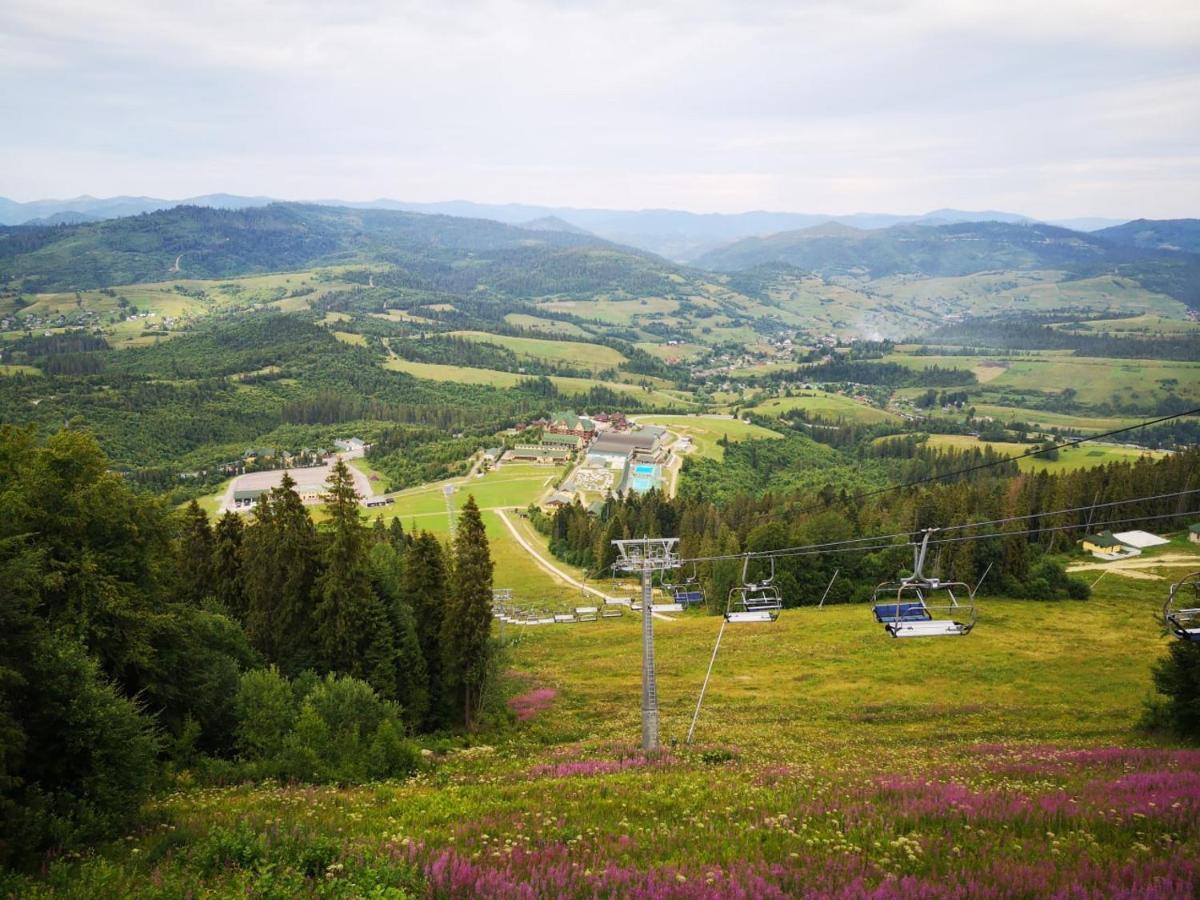Карпатська Ружа Plave Eksteriør bilde